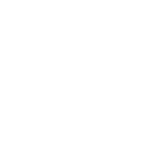NZNO logo