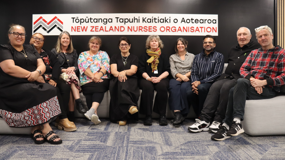 NZNO National Executive, October 2025 NZNO National Executive, October 2025
