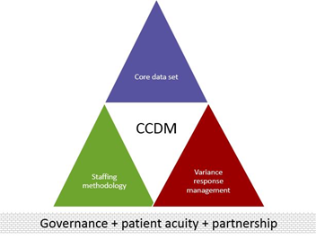The CCDM model explained The CCDM model explained