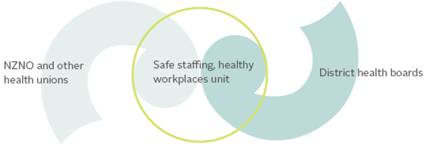 CCDM partnership model and relationship with DHBs and NZNO CCDM partnership model and relationship with DHBs and NZNO