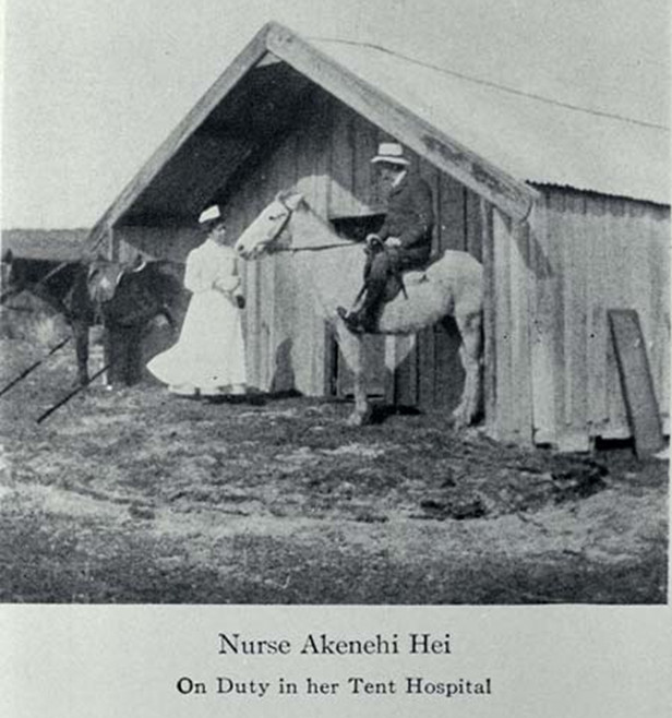 Nurse Akenehi Hei on duty in her tent hospital Nurse Akenehi Hei on duty in her tent hospital